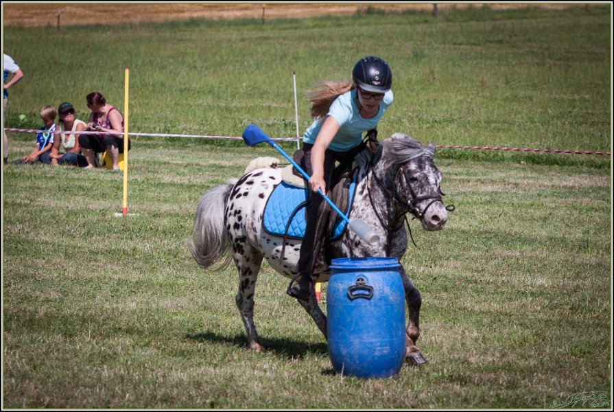 Mounted Games 248